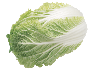 Lettuce