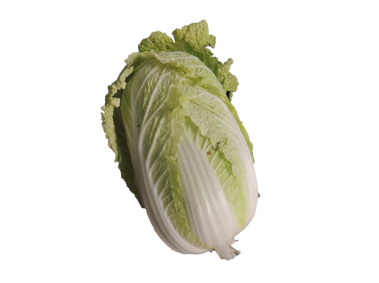 Lettuce
