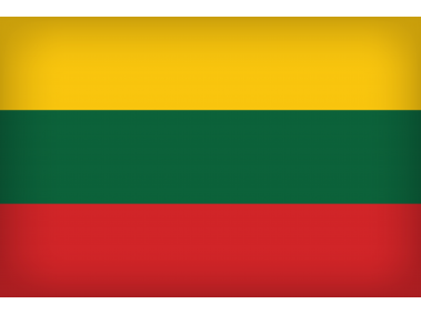 Lithuania Large Flag
