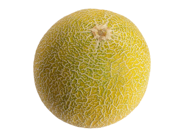 Melon