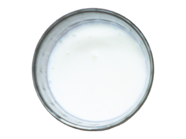 Milk