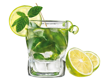 Mojito Cocktail