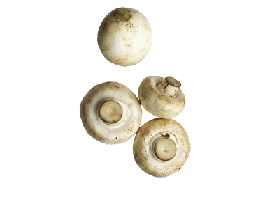 Mushrooms