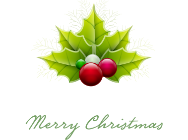 New Year and Christmas Cluster