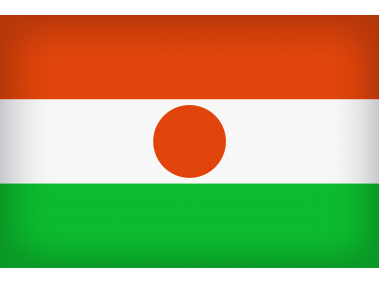 Niger Large Flag