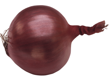 Onion