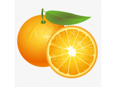 Orange Slice