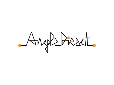 Angle Direct   Logo
