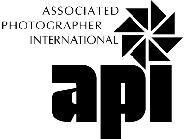 API Logo