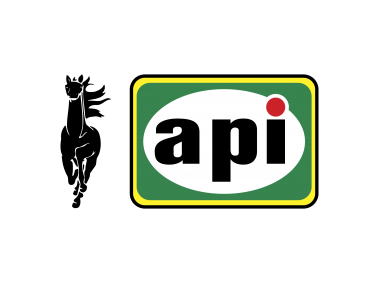 API Logo