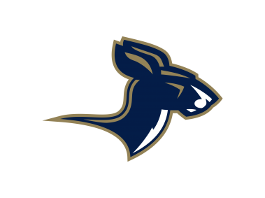 Akron Zips   Logo