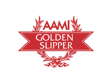 AAMI Logo