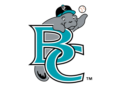 Brevard County Manatees   Logo