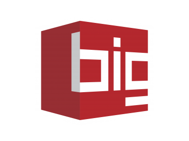 BIG   Logo