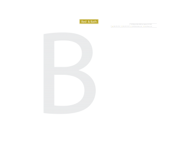BC 20 LH Logo