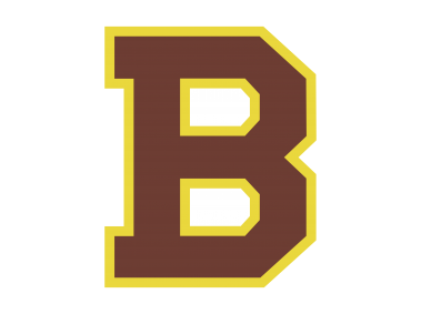 Boston Bruins Logo