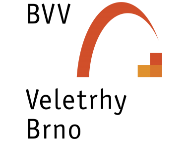 BVV   Logo