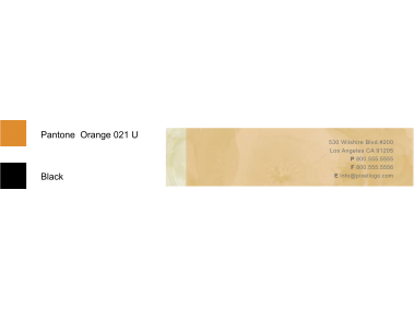 BC 25 BC Back Logo