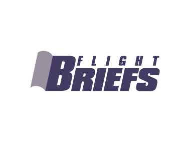 Briefs Flight   Logo