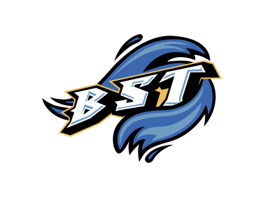 Bridgeport Sound Tigers   Logo