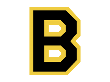 Boston Bruins   Logo