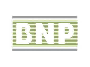 BNP Logo