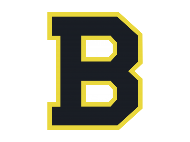 Boston Bruins Logo