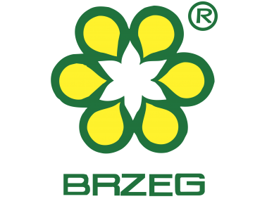 Brzeg 6149 Logo