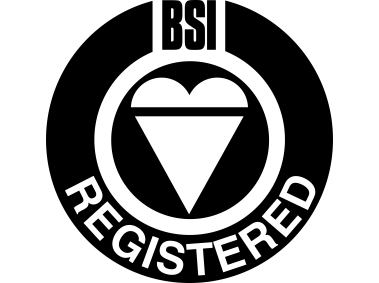 BSI REGISTERED Logo