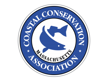 CCA Logo