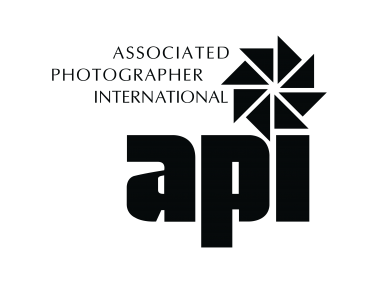 API Logo