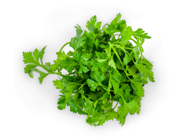Parsley