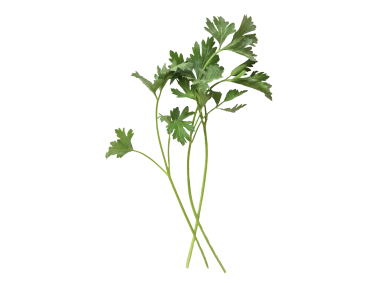 Parsley