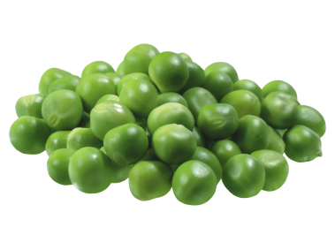 Pea