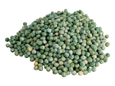Pea