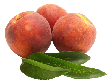 Peach