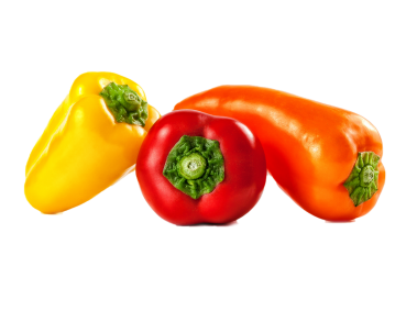 Pepper