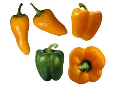 Peppers