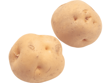 Potato