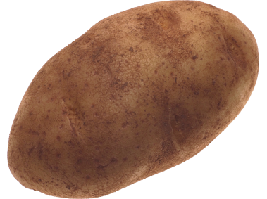 Potato