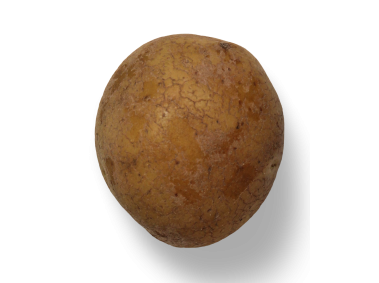 Potato