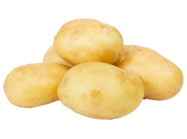 Potato