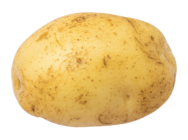 Potato