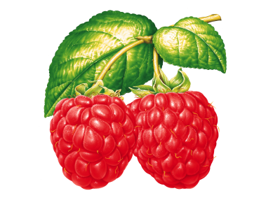 Raspberries