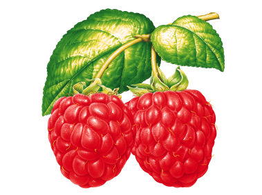 Raspberries