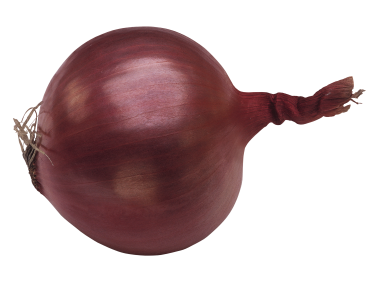 Red Onion