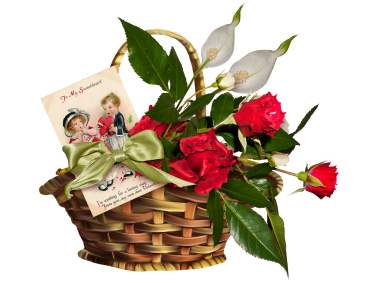 Red Rose
