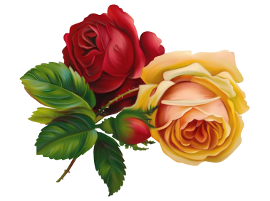 Red Rose
