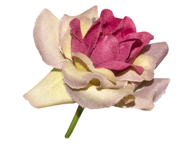 Red Rose