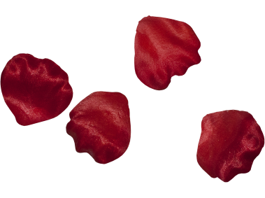 Red Rose